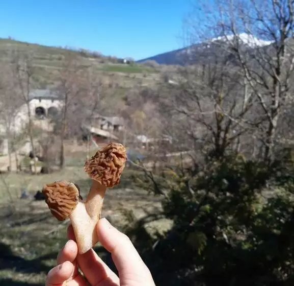 Aamiaismajoitus (B&B) Mas Rondole   Chambres D Hôtes