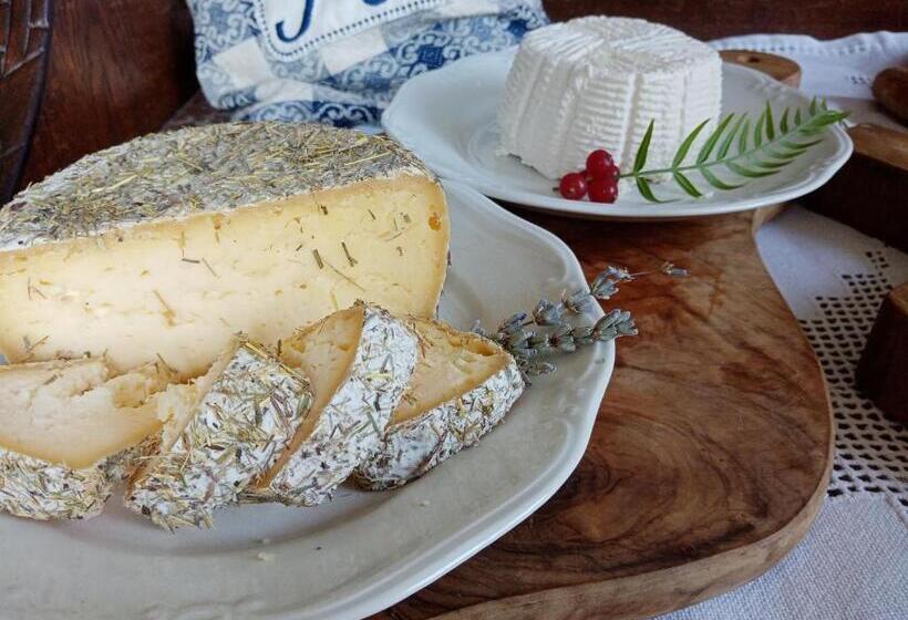 مبيت وإفطار Villa Della Stua