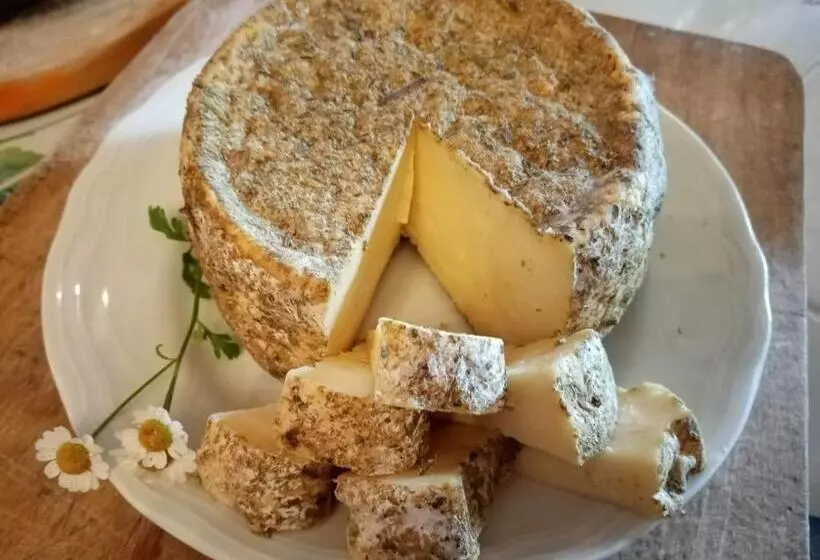 Aamiaismajoitus (B&B) Villa Della Stua