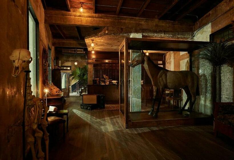 هتل The Mustang Blu