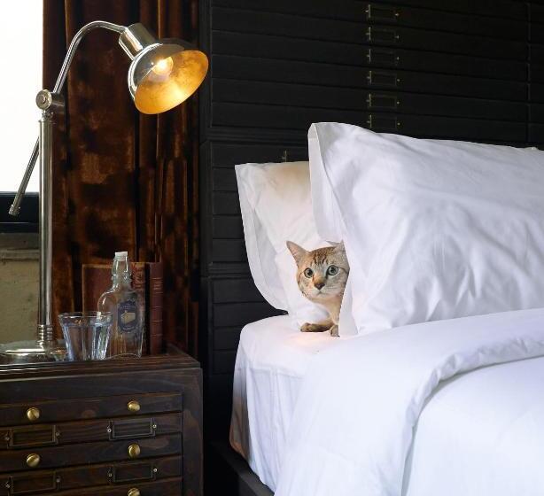 هتل The Mustang Blu