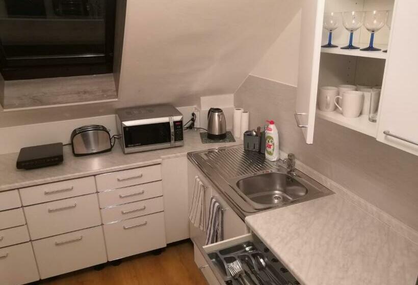 Пансион Penzion Ubytování U Parku S Parkovištěm