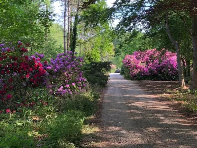 Aamiaismajoitus (B&B) Beau Reg Art