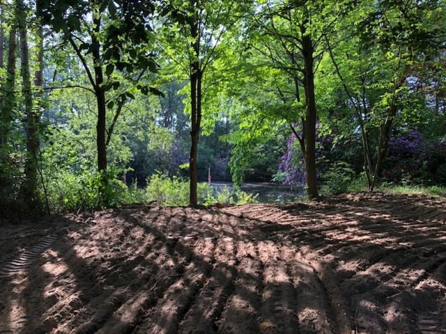 צימר Beau Reg Art