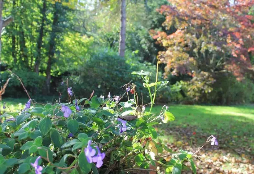 Aamiaismajoitus (B&B) Beau Reg Art