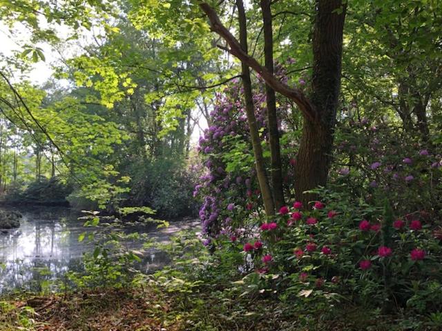 צימר Beau Reg Art