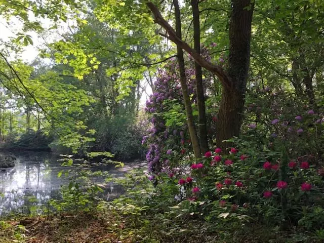 Aamiaismajoitus (B&B) Beau Reg Art