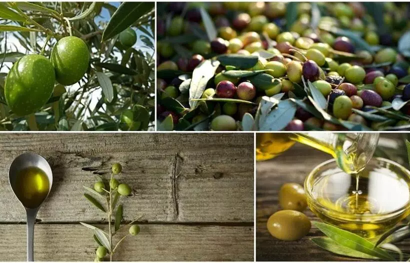 ベッドアンドブレックファースト Chambre Hôtes Jacuzzi Climatiseur Provence