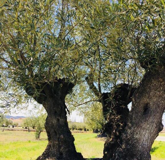 민박 Chambre Hôtes Jacuzzi Climatiseur Provence