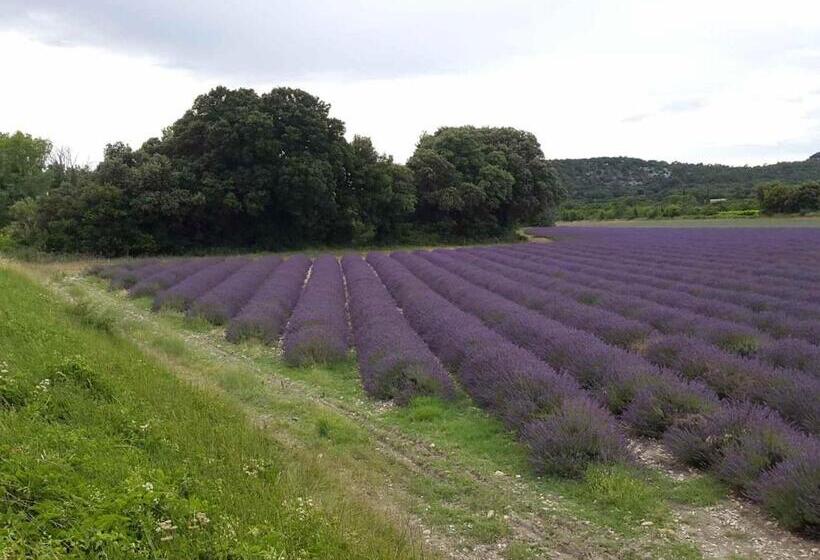 צימר Chambre Hôtes Jacuzzi Climatiseur Provence