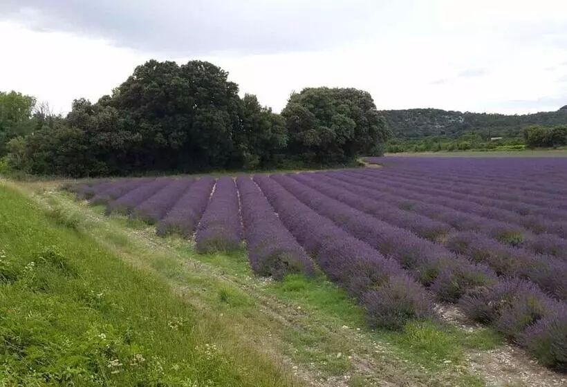 ベッドアンドブレックファースト Chambre Hôtes Jacuzzi Climatiseur Provence