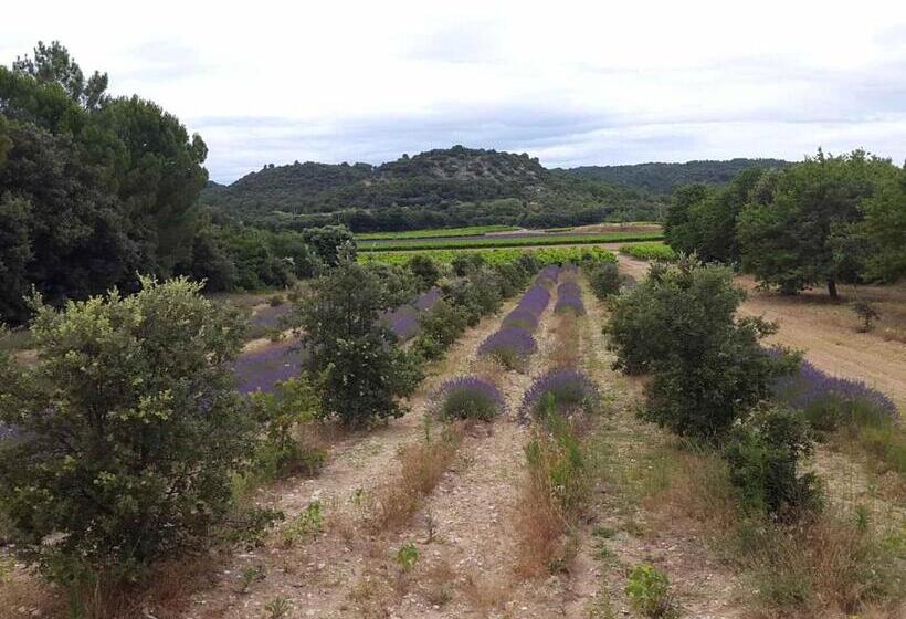 민박 Chambre Hôtes Jacuzzi Climatiseur Provence