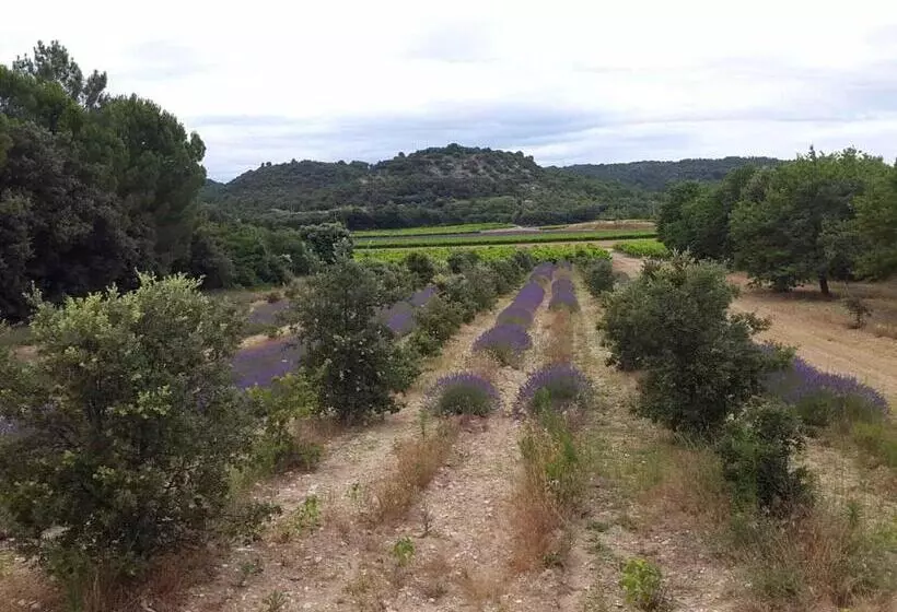 ベッドアンドブレックファースト Chambre Hôtes Jacuzzi Climatiseur Provence