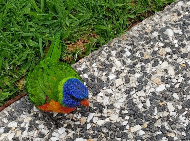 Bed and Breakfast Mapleton Peaceful Provence Bnb