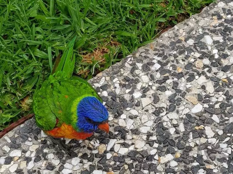 Bed and Breakfast Mapleton Peaceful Provence Bnb