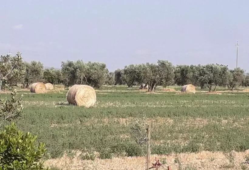 هتل Agriturismo Le Chiare Stelle