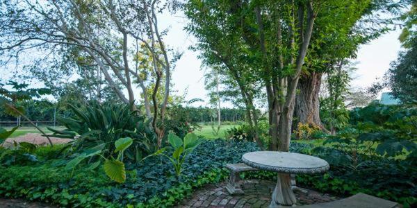 Lupus Den Country House B&b