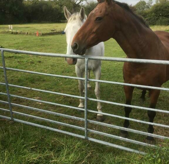 膳宿费 Callwood Farm Annex Guest Room