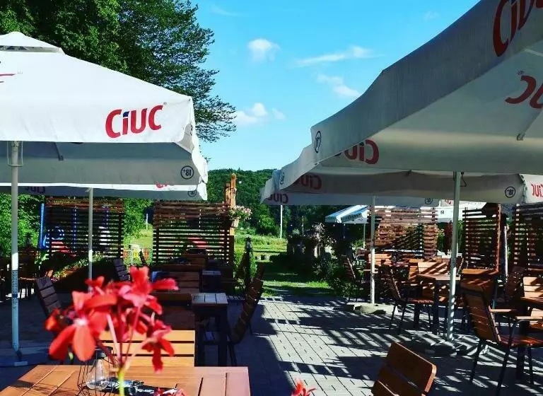 ペンション Domeniul Poiana Ursului