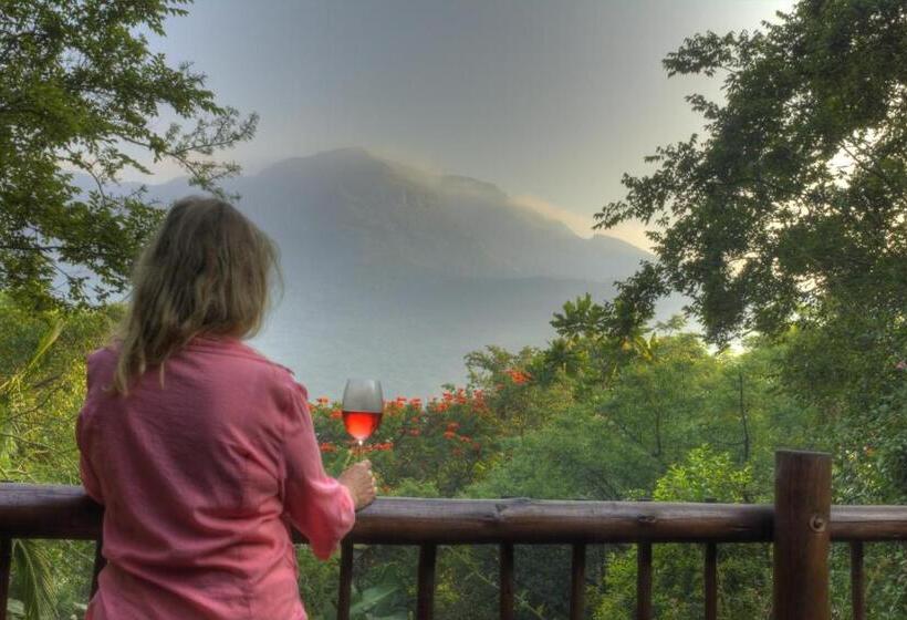 膳宿费 Old Joe S Kaia