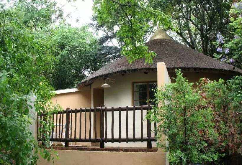 Majatalo Old Joe S Kaia