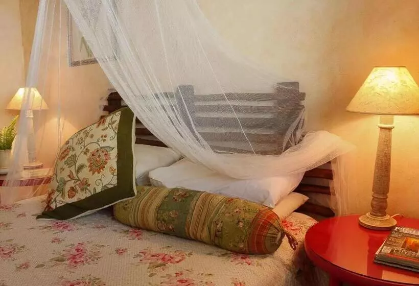 Majatalo Old Joe S Kaia