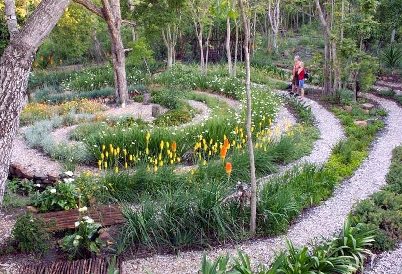 膳宿费 Old Joe S Kaia