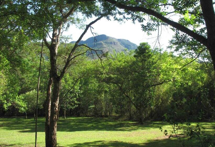 膳宿费 Old Joe S Kaia