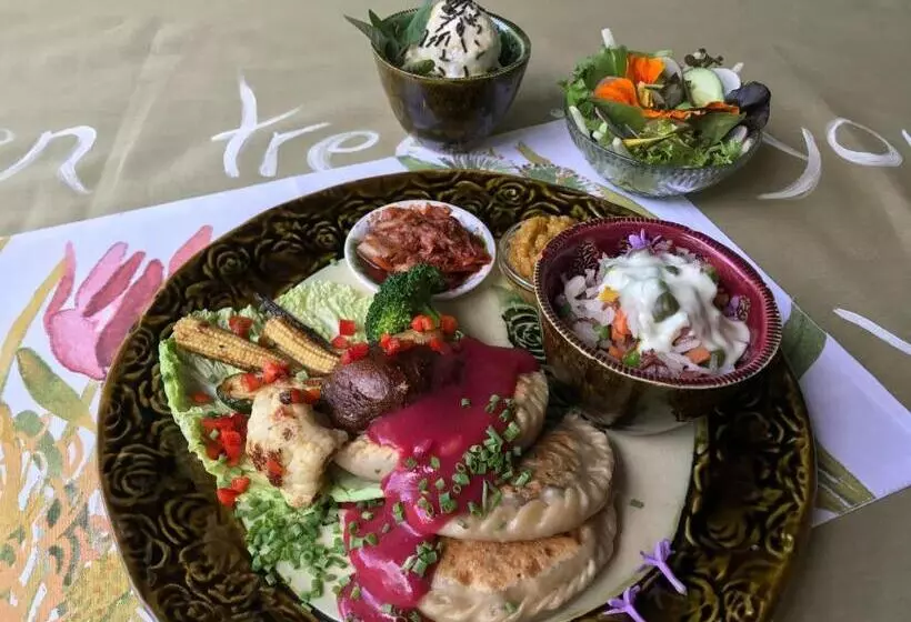 Majatalo Old Joe S Kaia