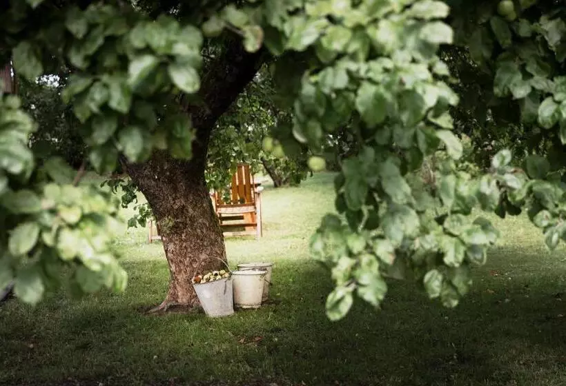 Snickaren Vandrarhem I Grästorp   Egen Lägenhet   Own Apartments