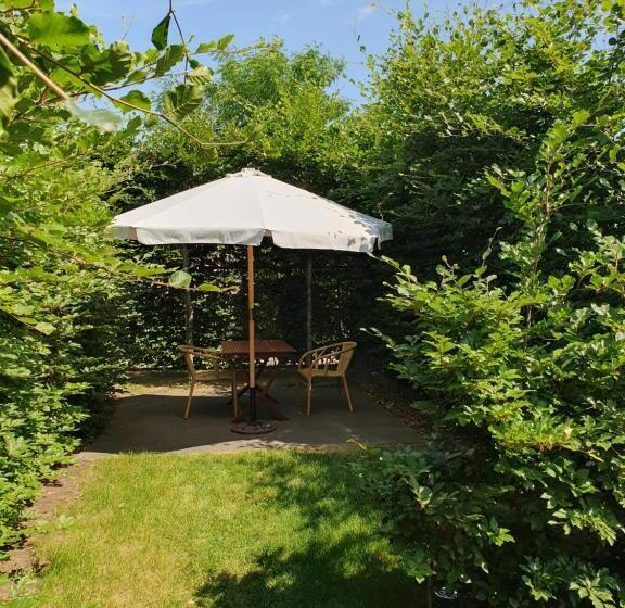 Bed and Breakfast Een Klein Appartementje Zonder Keuken In Het Centrum Sleep At Hamtingh S