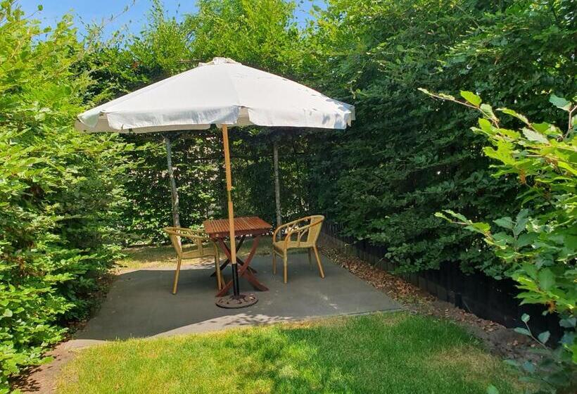 Bed and Breakfast Een Klein Appartementje Zonder Keuken In Het Centrum Sleep At Hamtingh S