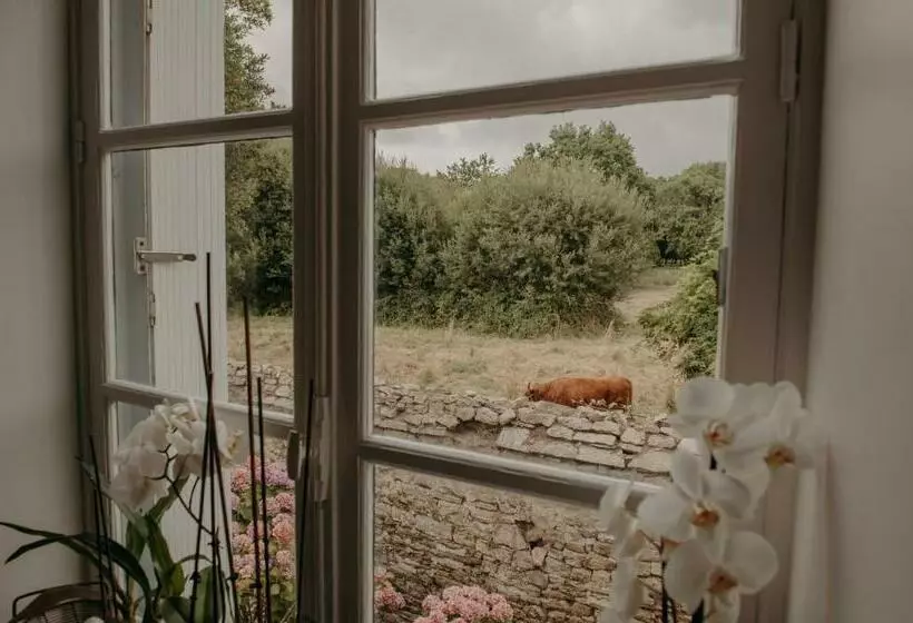 Aamiaismajoitus (B&B) Le Banellou