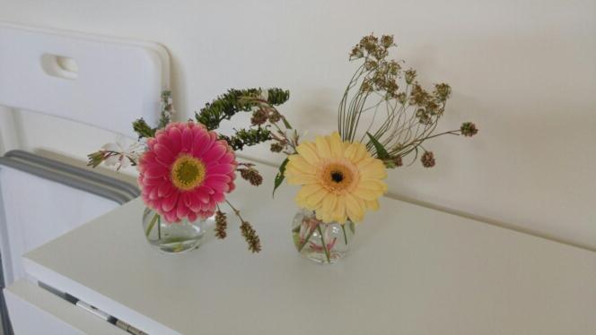 Bed and Breakfast Een Klein Appartementje Zonder Keuken In Het Centrum Sleep At Hamtingh S