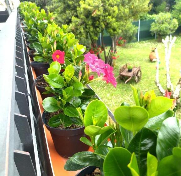 민박 Villa Molinella