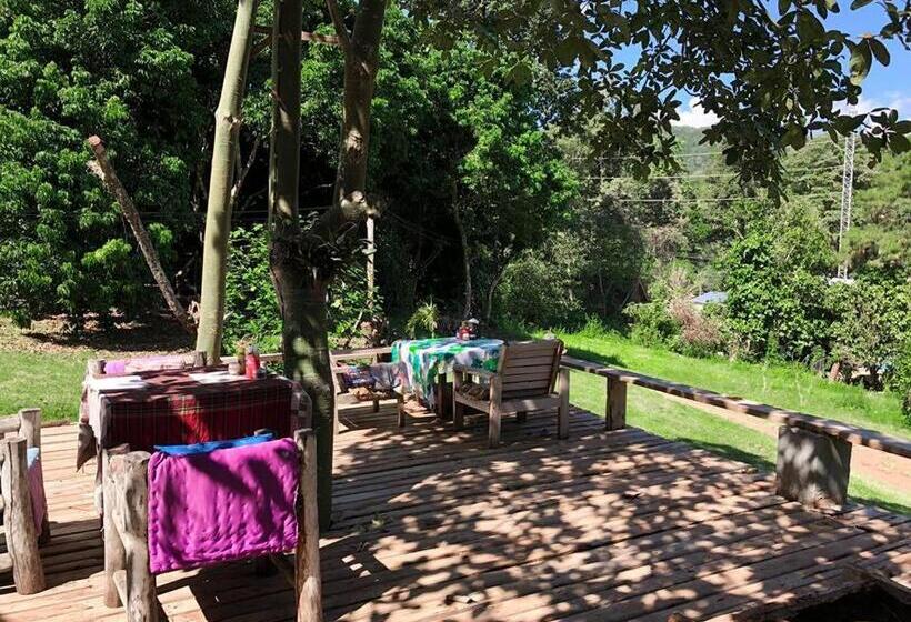 Hotel Jungle Guesthouse