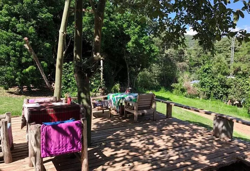 هتل Jungle Guesthouse