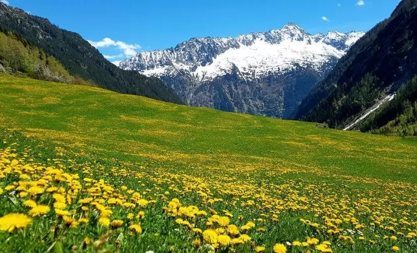 Majatalo Gästehaus Alpenglühn