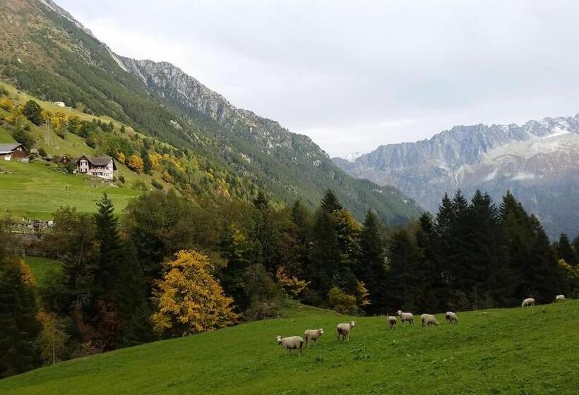 膳宿费 Gästehaus Alpenglühn