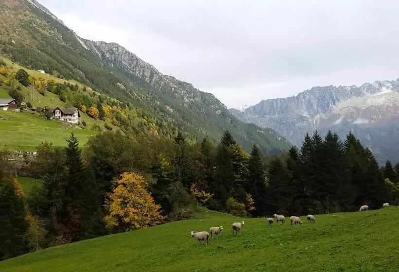Majatalo Gästehaus Alpenglühn