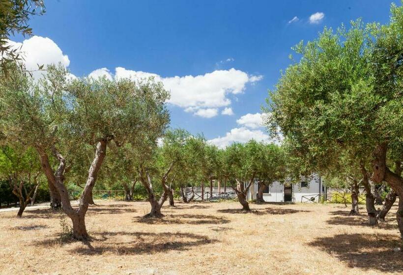 膳宿费 La Villetta Xenia