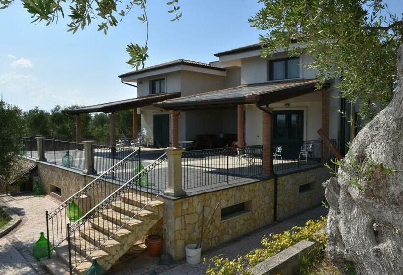 膳宿费 La Villetta Xenia