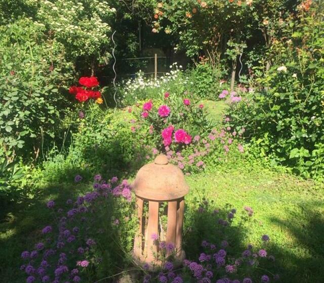 펜션 Michaelsbergblick