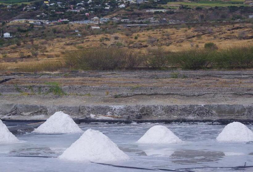 پانسیون Villa Moai 974