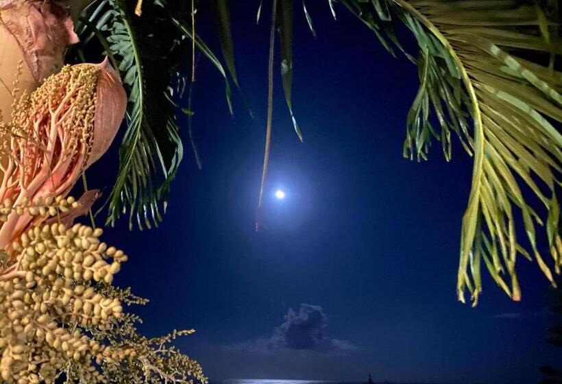 پانسیون Villa Moai 974