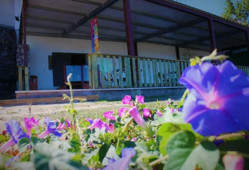 ユースホステル Casa Do Castelo Ourém