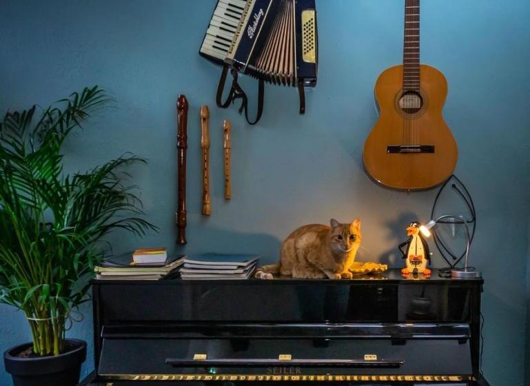 צימר De Kaepstander