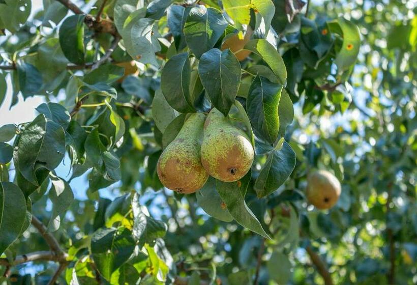 膳宿费 Hillcrest Lodge