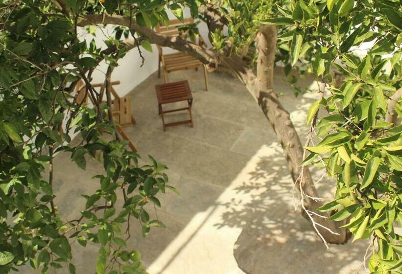 Общежитие Slowly Com Vagar