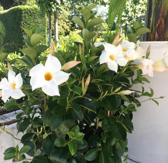 민박 De Tuinkamer     Privé Diner Op De Kamer Mogelijk!!!